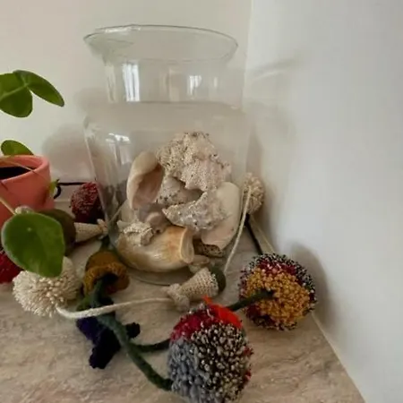 Sunny Seaview アパート *