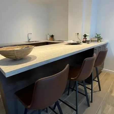 Sunny Seaview Apartment Ostende